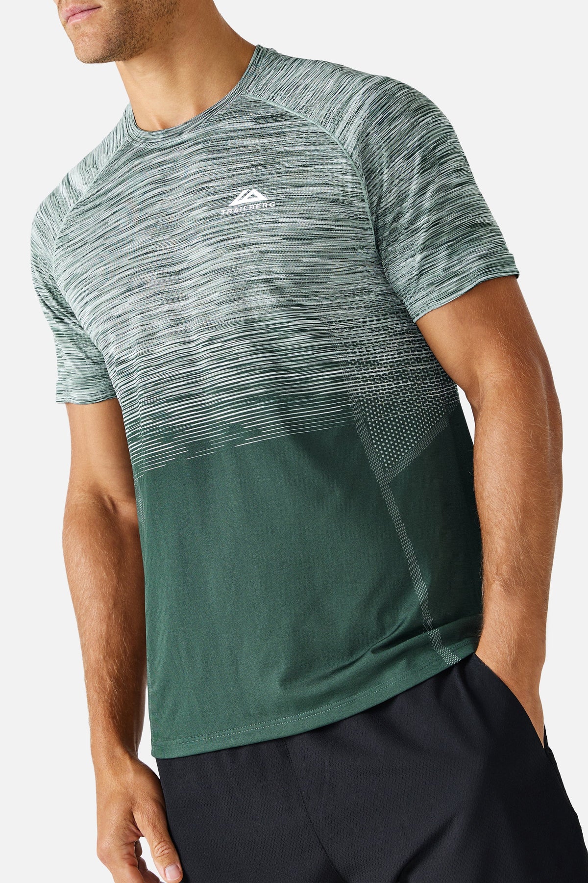 Arc Seamless 2.0 Tee - Everveil/ Wild Grove/ Frosted Leaf/ Icewall White