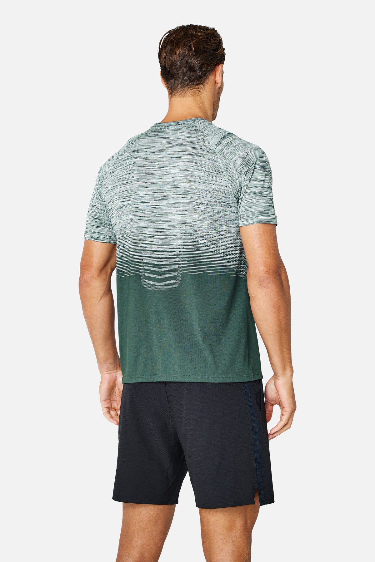 Arc Seamless 2.0 Tee - Everveil/ Wild Grove/ Frosted Leaf/  Icewall White