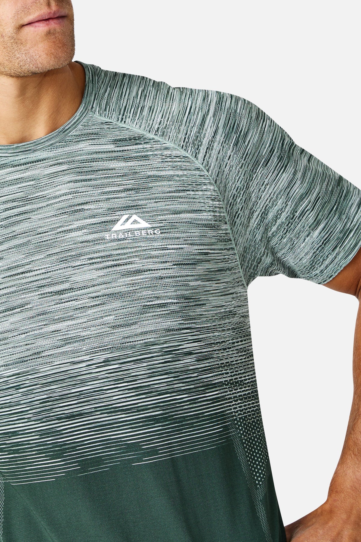 Arc Seamless 2.0 Tee - Everveil/ Wild Grove/ Frosted Leaf/  Icewall White